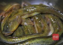 酱爆楞蹦鱼（海鲶鱼）的做法图解1