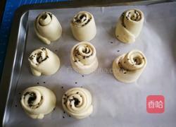 蜂蜜小软欧(波兰种)的做法图解12