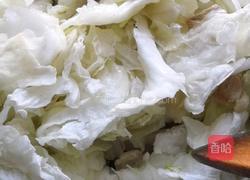 白菜炒肉的做法图解6
