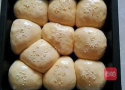 小餐包的做法图解6