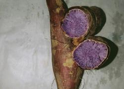 烤箱版烤红薯