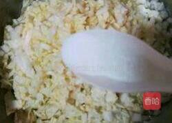 白菜猪肉包的做法图解4