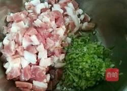 白菜猪肉包的做法图解5