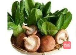 牛肉粉丝汤的做法图解7