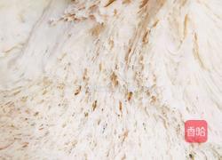 全麦粉红豆包（减肥包）的做法图解3