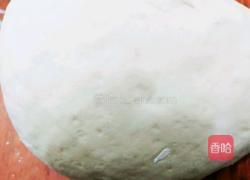 全麦粉红豆包（减肥包）的做法图解4