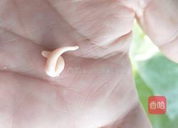 东北福气多多小猪馒头的做法图解9