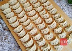 韭菜猪肉饺子的做法图解6