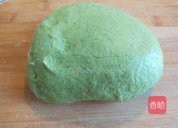 新文美食 羊肉胡萝卜百材饺子的做法图解5