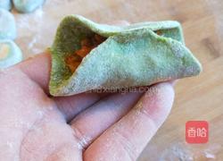 新文美食 羊肉胡萝卜百材饺子的做法图解14