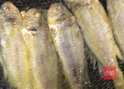 雪菜煎黄鱼的做法图解5