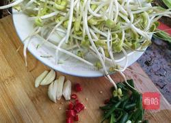香辣豆芽菜的做法图解3