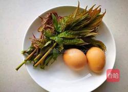 香椿炒鸡蛋的做法图解1