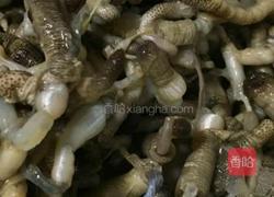 土笋冻的做法图解2