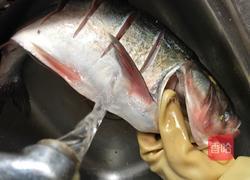 红烧鲢鱼的做法图解3