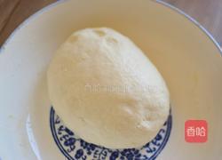 酸菜猪肉馅饺子的做法图解1