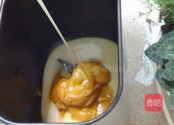 丰收南瓜包的做法图解6