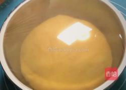 丰收南瓜包的做法图解17