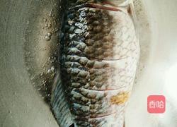 湘潭水煮鲫鱼的做法图解6