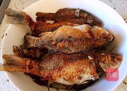 酱焖鲫鱼豆腐的做法图解6