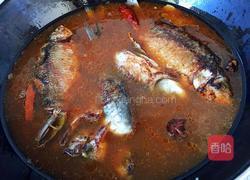 酱焖鲫鱼豆腐的做法图解9