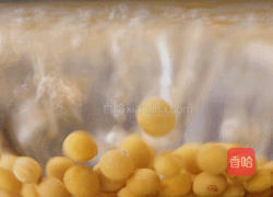 新西兰黄豆冬瓜排骨汤的做法图解2