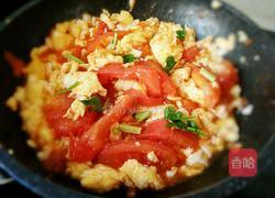 番茄炒鸡蛋的做法图解8