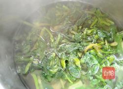 蒜泥万年青的做法图解3