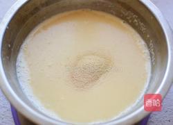 迷你小油条的做法图解1