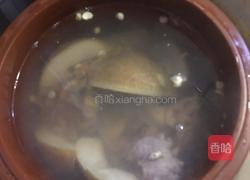 川贝海底椰冰糖雪梨炖瘦猪汤的做法图解5