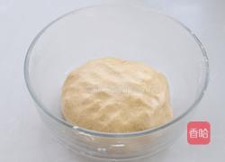 酒酿南瓜小汤圆的做法图解3