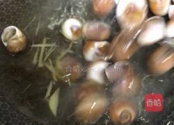 雪菜汁煮玉螺的做法图解7