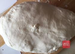 ＃沈阳＃家庭版叫花鸡的做法图解22