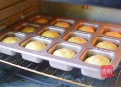 豆沙小餐包的做法图解8