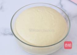 原味营养吐司的做法图解5