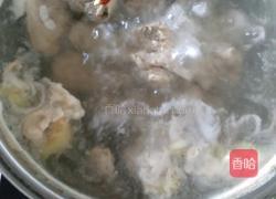 清炖猪骨的做法图解4