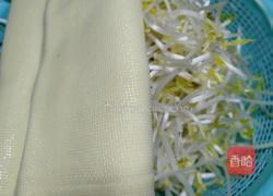 凉拌如意菜的做法图解1