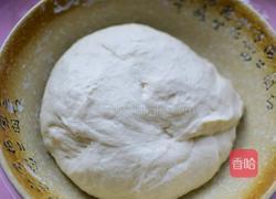 角瓜鸡蛋水饺的做法图解1