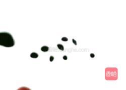 2019小猪馒头的做法图解12