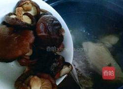 香菇炖鸡的做法图解7
