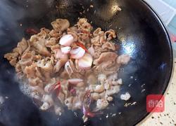 孜然羊肉的做法图解8