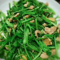 香菜炒肉丝的做法[图]