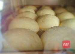 脆皮泡芙的做法图解16