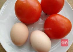 西红柿炒蛋的做法图解1