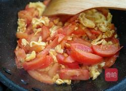 西红柿炒蛋的做法图解5