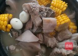 藕炖排骨的做法图解3