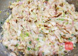 白菜水饺的做法图解11