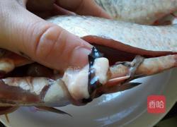 红烧鲫鱼的做法图解3