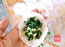菠菜鸡蛋饺子的做法图解17