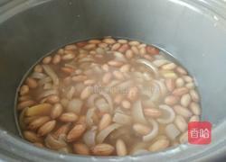 花生猪皮冻的做法图解9